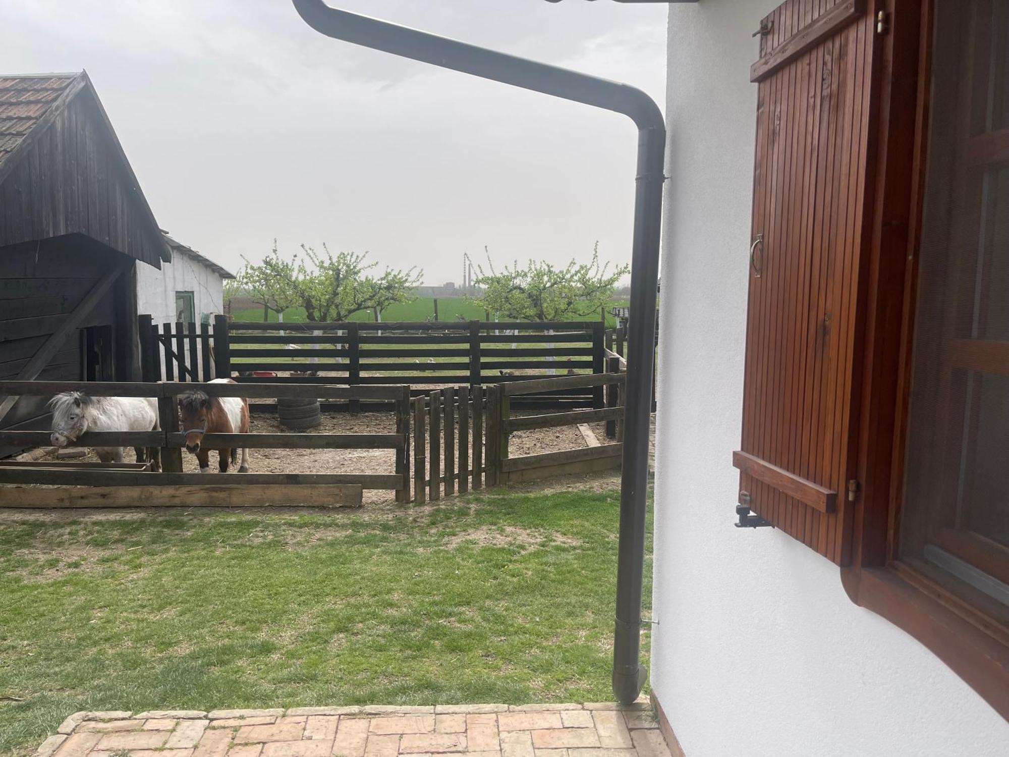 Salas Isailovi Sremska Mitrovica Exterior foto